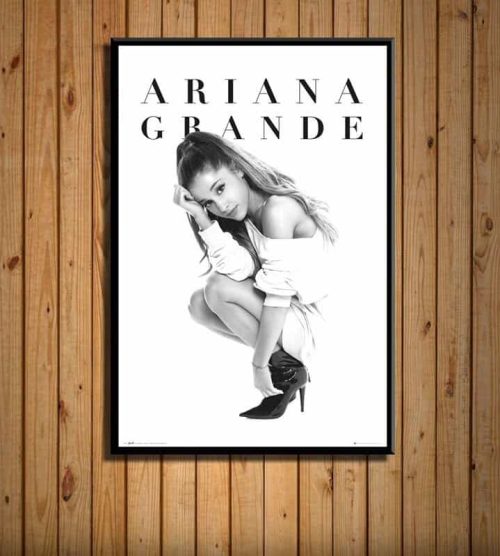 Ariana Grande Poster #8